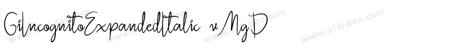 GiIncognitoExpandedItalic-vMgD字体转换
