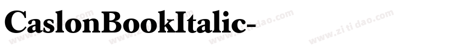 CaslonBookItalic字体转换