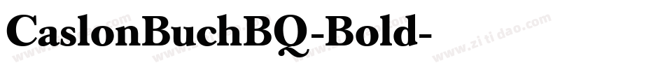 CaslonBuchBQ-Bold字体转换