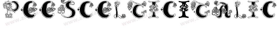 PeesCelticItalic-GlXP字体转换