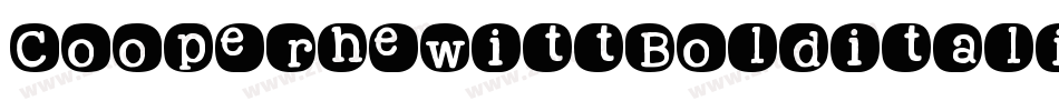 CooperhewittBolditalic-5D6x字体转换