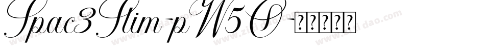 Spac3Slim-pW5O字体转换