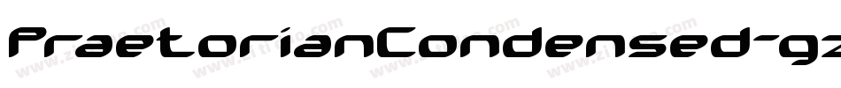 PraetorianCondensed-gzJq字体转换 PraetorianCondensed-gzJq字体转换