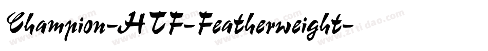 Champion-HTF-Featherweight字体转换