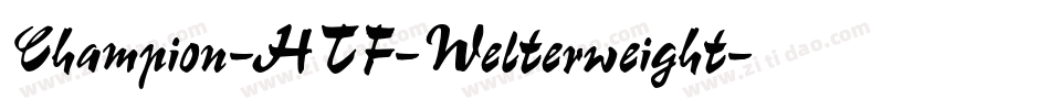 Champion-HTF-Welterweight字体转换