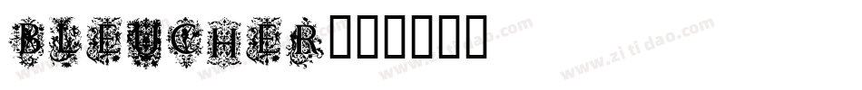 BLEUCHER字体转换
