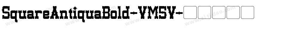 SquareAntiquaBold-VM5V字体转换