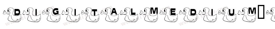 DigitalMedium-zq4X字体转换