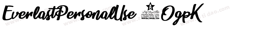 EverlastPersonalUse-2OgpK字体转换