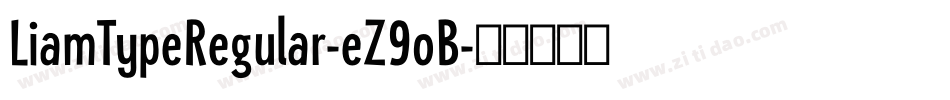 LiamTypeRegular-eZ9oB字体转换