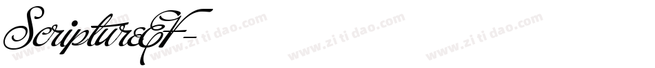 ScriptureEF字体转换