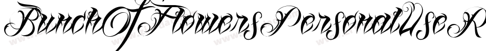 BunchOfFlowersPersonalUseRegular-nOvM字体转换