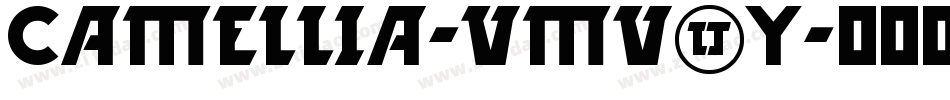 Camellia-vmv2y字体转换
