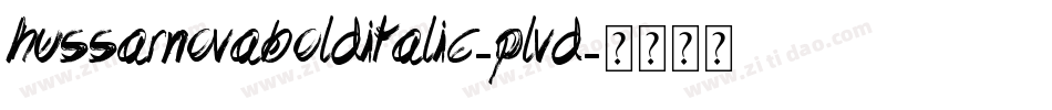 HussarNovaBoldItalic-pLvd字体转换