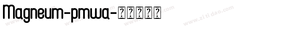 Magneum-pmwa字体转换