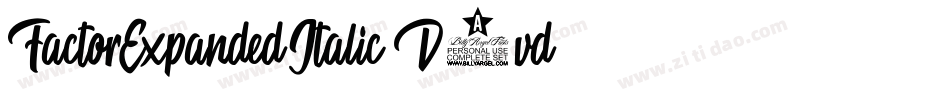 FactorExpandedItalic-D9vd字体转换
