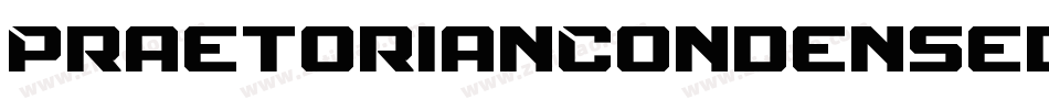 PraetorianCondensed-gzJq字体转换 PraetorianCondensed-gzJq字体转换