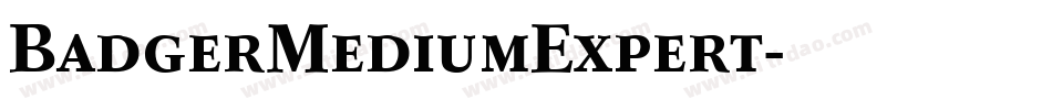 BadgerMediumExpert字体转换
