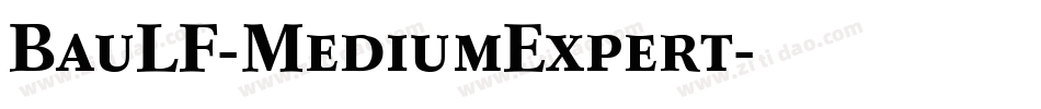 BauLF-MediumExpert字体转换