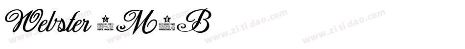 Webster-9M6B字体转换