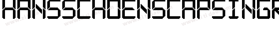 Hansschoenscapsingrid-jLG7字体转换