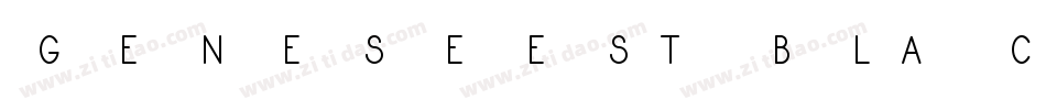 GeneseeStBlack-zv5X字体转换 GeneseeStBlack-zv5X字体转换
