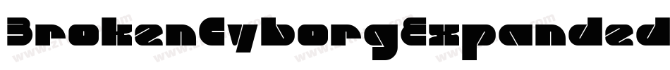 BrokenCyborgExpandedItalic-yRpm字体转换