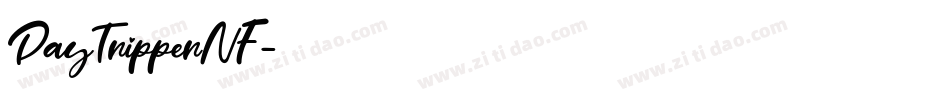 DayTripperNF字体转换