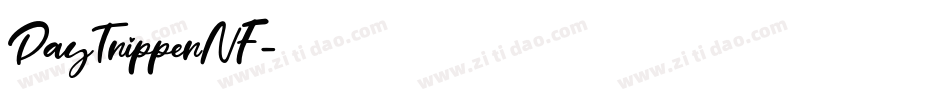 DayTripperNF字体转换