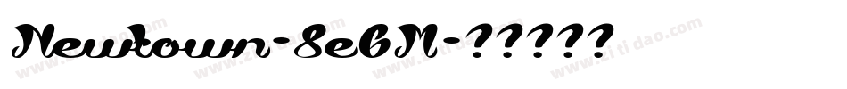 Newtown-8e6M字体转换