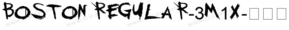 BostonRegular-3M1X字体转换