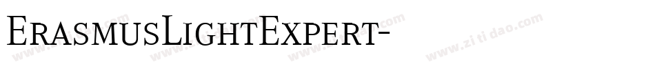 ErasmusLightExpert字体转换