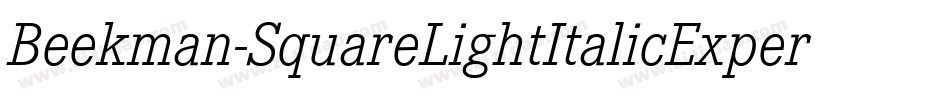Beekman-SquareLightItalicExpert字体转换