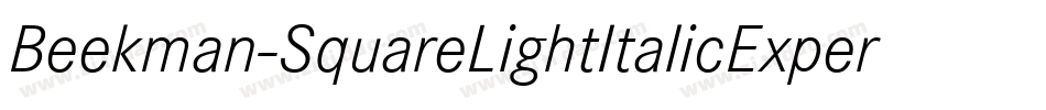 Beekman-SquareLightItalicExpert字体转换