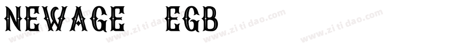 Newage-4eGB字体转换