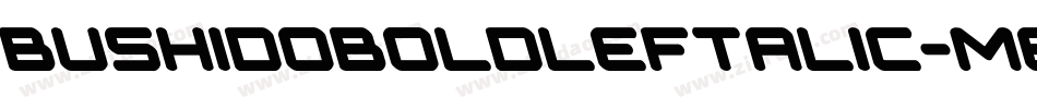 BushidoBoldLeftalic-MeXe字体转换