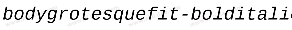 bodygrotesquefit-bolditalic-2字体转换