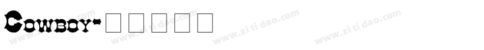 Cowboy字体转换