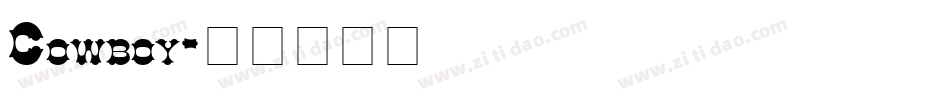 Cowboy字体转换
