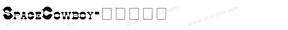 SpaceCowboy字体转换