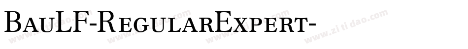 BauLF-RegularExpert字体转换
