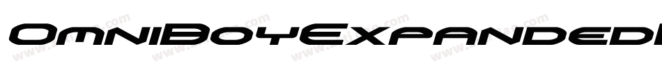 OmniBoyExpandedItalic-8M87B字体转换
