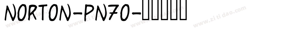 Norton-pn7O字体转换