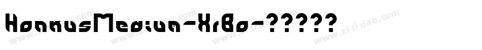 HonkusMedium-XrBo字体转换