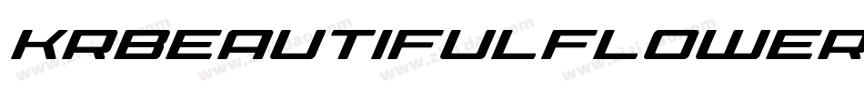 KrBeautifulFlowers2-d5al字体转换