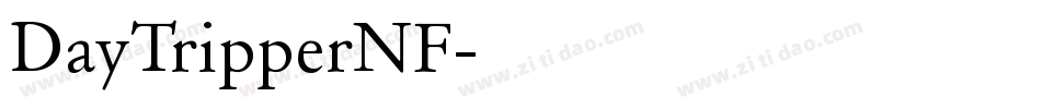 DayTripperNF字体转换