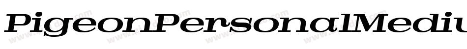 PigeonPersonalMediumItalic-0o2X字体转换 PigeonPersonalMediumItalic-0o2X字体转换