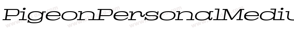 PigeonPersonalMediumItalic-0o2X字体转换 PigeonPersonalMediumItalic-0o2X字体转换