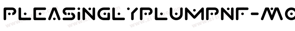 PleasinglyPlumpNf-MOgx字体转换
