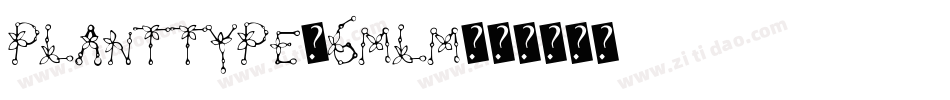 Planttype-6mlM字体转换
